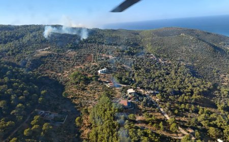 Antalya Kaş’ta Orman Yangını: Havadan ve Karadan Müdahale Başladı