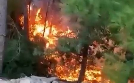 Alanya’da Yıldırım Ormanlık Alana Düştü: 1 Dönüm Alan Zarar Gördü