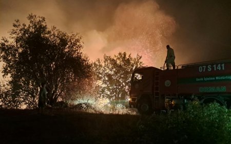 Serik’te Otluk Alanda Yangın: 30 Dönüm Alan Alevlere Teslim Oldu