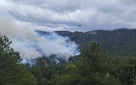 Manavgat’ta Orman Yangını 22 Saat Sonra Kontrol Altına Alındı: 70 Hektar Zarar Gördü