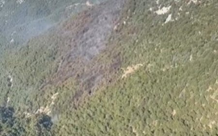 Manavgat’taki Orman Yangını Kontrol Altına Alındı