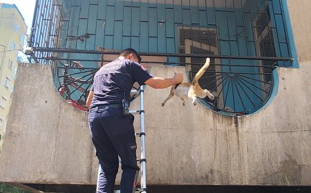 Muratpaşa’da Apartman Yangını: Korkan Hamile Kedi İtfaiye Tarafından Kurtarıldı