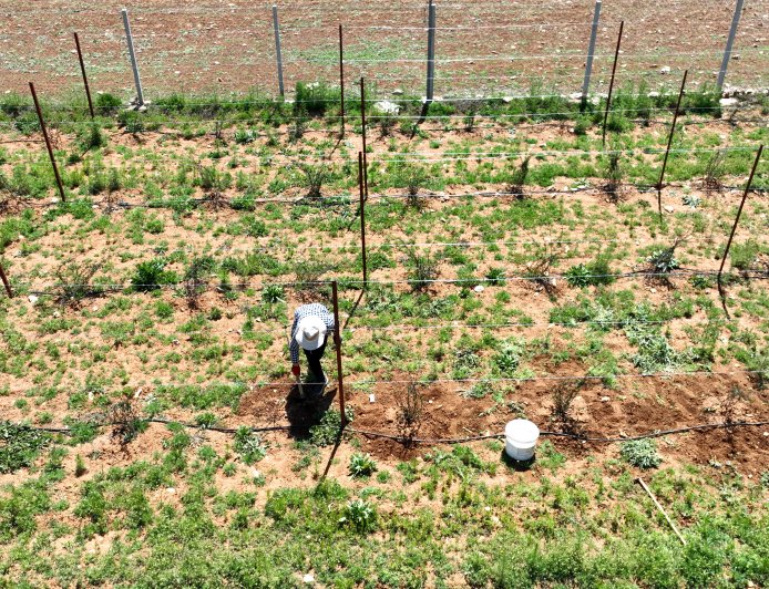 Antalya’da Çocuklara 7 Ayda 450 Bin Litre Halk Süt Desteği