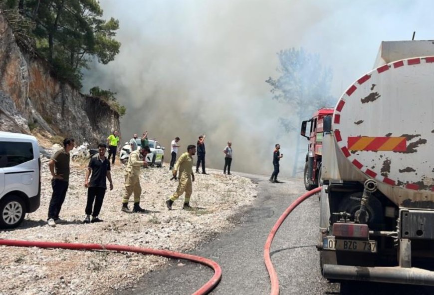 Alanya'da Orman Yangını: Ekipler Havadan ve Karadan Müdahale Ediyor