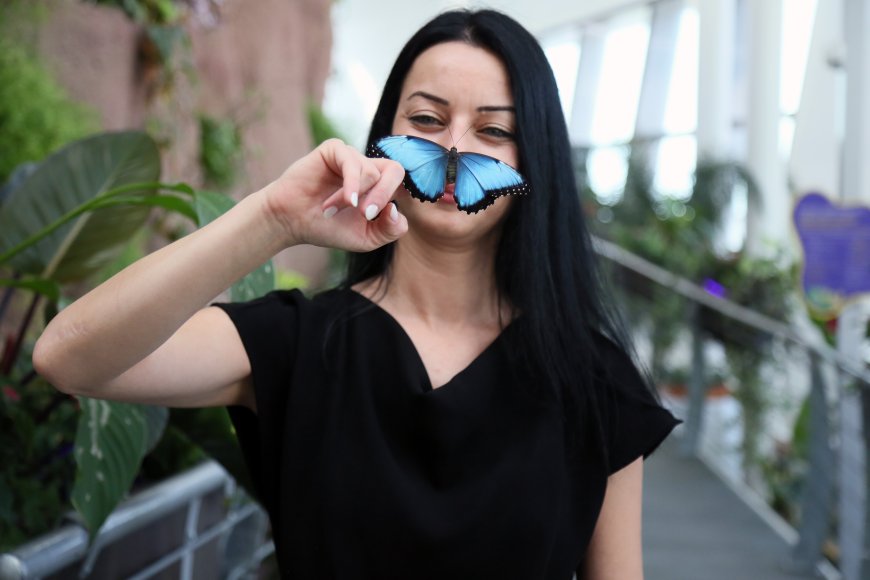 Butterfly World Antalya'da 20 Bin Kelebek Ziyaretçileri Karşılıyor: "Kelebekler 1 Gün Yaşamıyor"