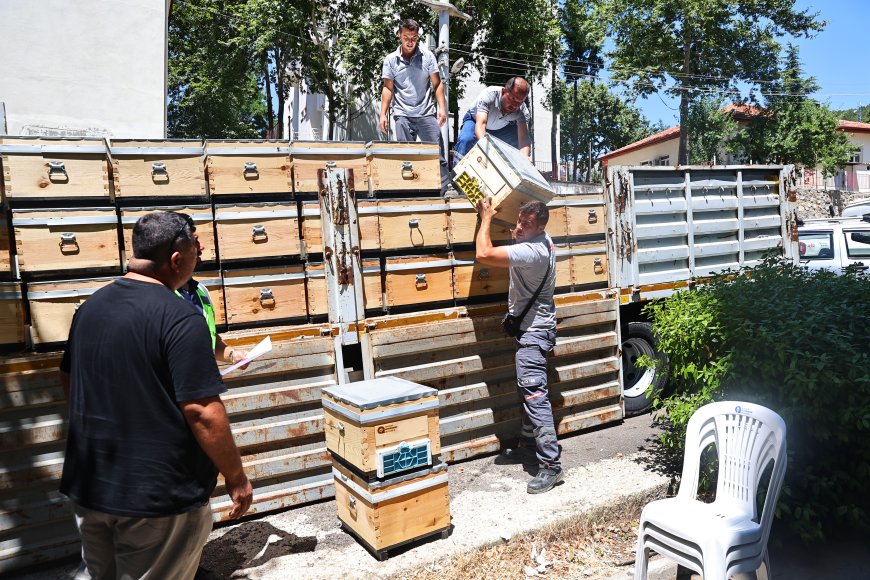 Antalya Büyükşehir'den arıcılara 4 bin 50 kovan desteği