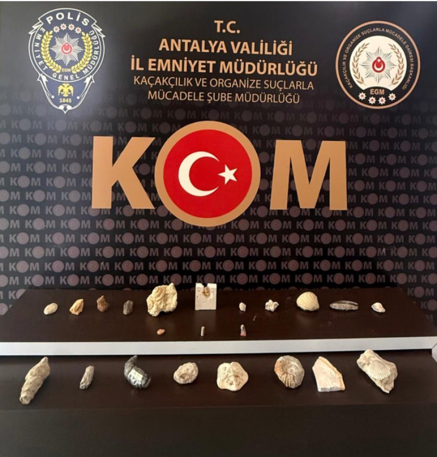 Antalya'da Kaçakçılık Operasyonları: 17 Bin 800 Makaron, 569 Kaçak İçki ve Tarihi Eser Ele Geçirildi.