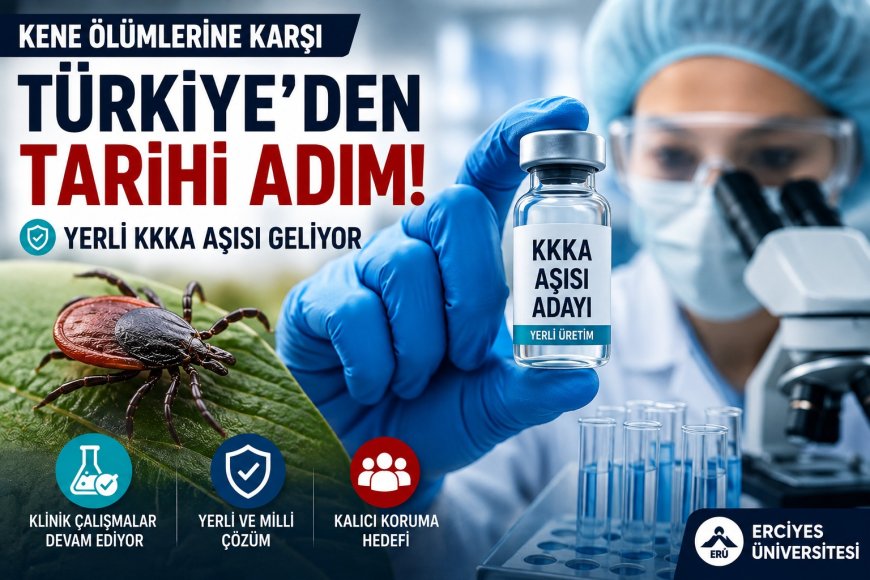 Kene Ölümlerine Karşı Türkiye’den Umut Veren Gelişme! Yerli KKKA Aşısında Kritik Aşama