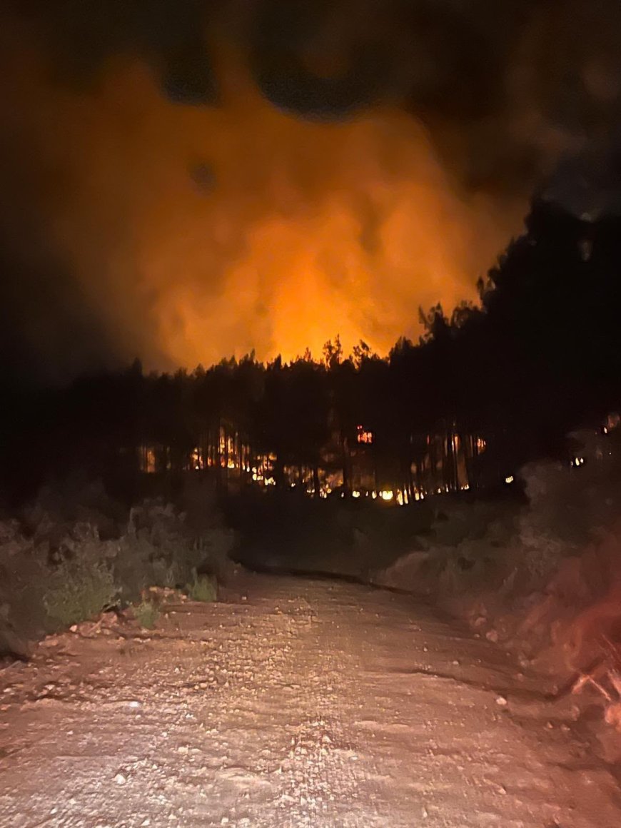 Alanya’da orman yangını: 7 dönümlük alan zarar gördü
