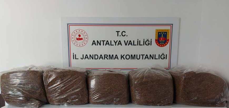Antalya’da Kaçak Tütün Operasyonu: 285 Kilogram Kıyılmış Tütün Ele Geçirildi
