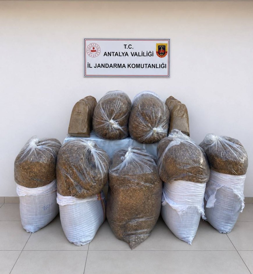 Antalya’da Kaçakçılık Operasyonu: 785 Kilogram Kıyılmış Kaçak Tütün Ele Geçirildi