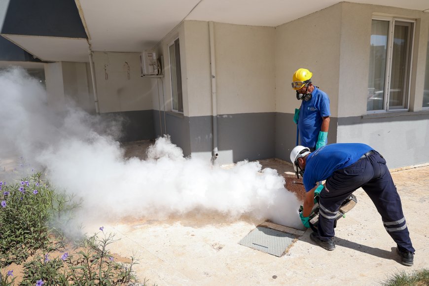 Antalya’da Sinek ve Haşerelere Karşı Mücadele Hız Kesmeden Sürüyor