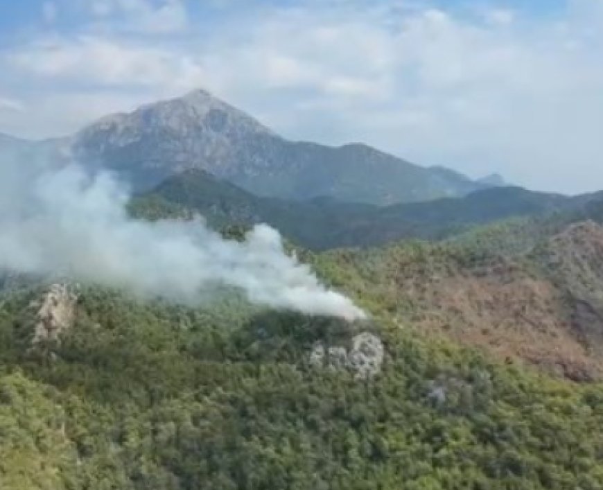 Kemer’de Orman Yangını: Havadan ve Karadan Müdahale Başlatıldı