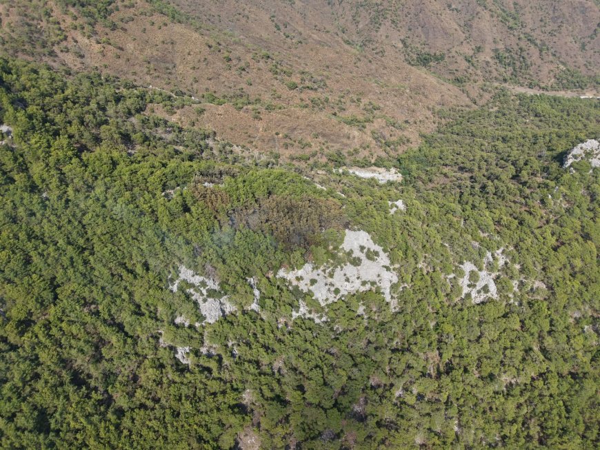 Kemer Çıralı’daki Orman Yangını Kontrol Altına Alındı
