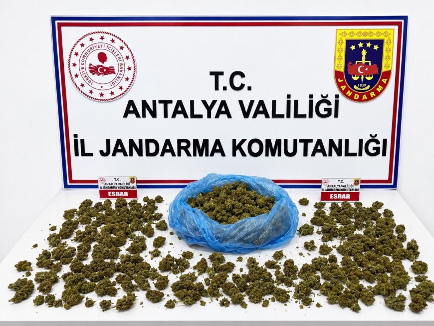 Alanya’da Uyuşturucu Operasyonu: 745 Gram Esrar ve 5 Kök Kenevir Ele Geçirildi