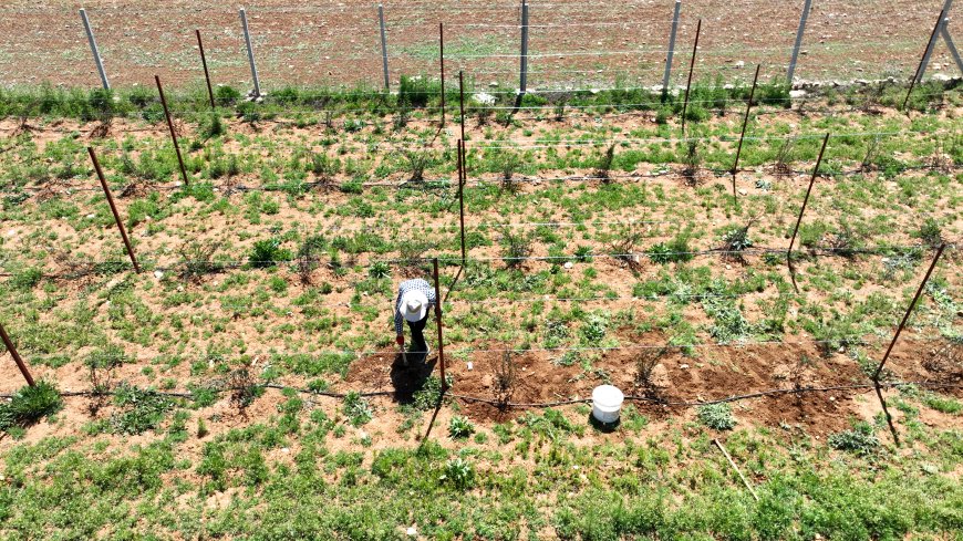 Antalya’da Çocuklara 7 Ayda 450 Bin Litre Halk Süt Desteği