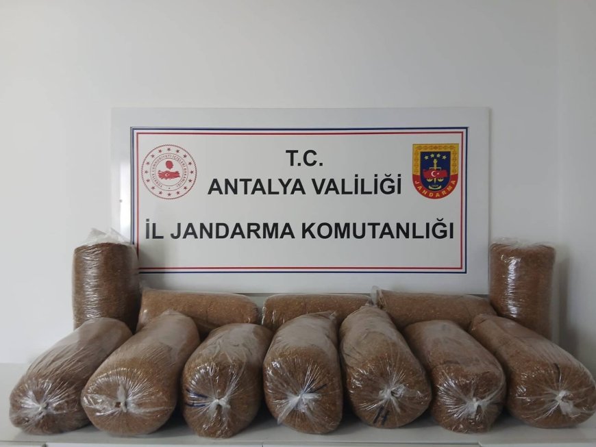 Alanya’da 72 Kilo Açık Sarmalık Tütün Ele Geçirildi