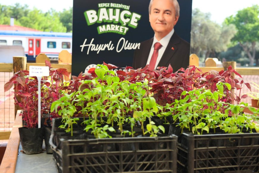 Kepez’de Yerli ve Uygun Fidan Dönemi: Bahçe Market Açılıyor