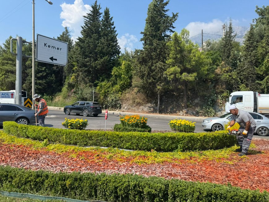 Kemer Atatürk Caddesi’nde Peyzaj ve Bakım Çalışması Yapıldı