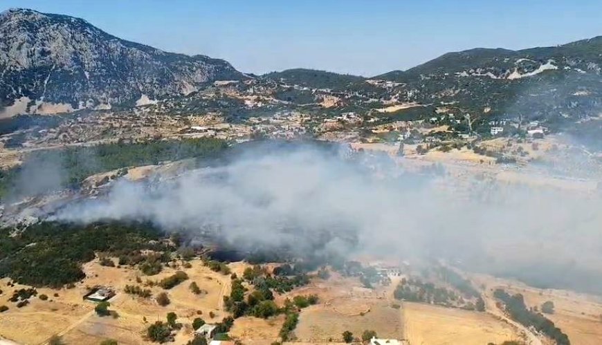 Kaş’ta Orman Yangını 2,5 Saatte Kontrol Altına Alındı