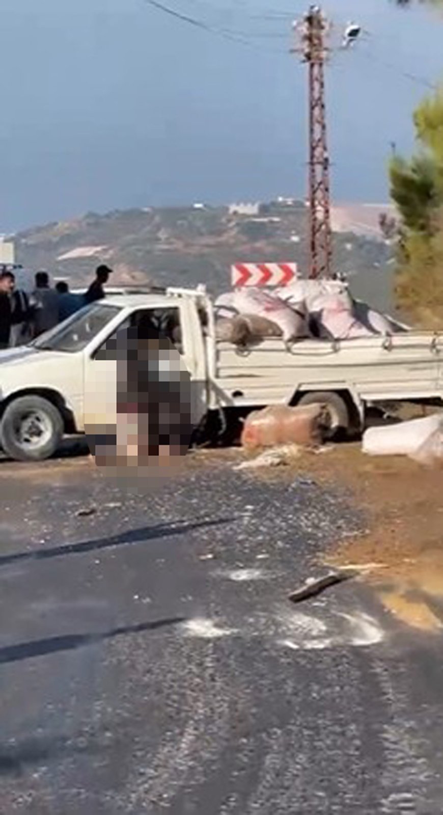 Alanya’da Lastiği Patlayan Kamyonet Kaza Yaptı: Sürücü Hayatını Kaybetti