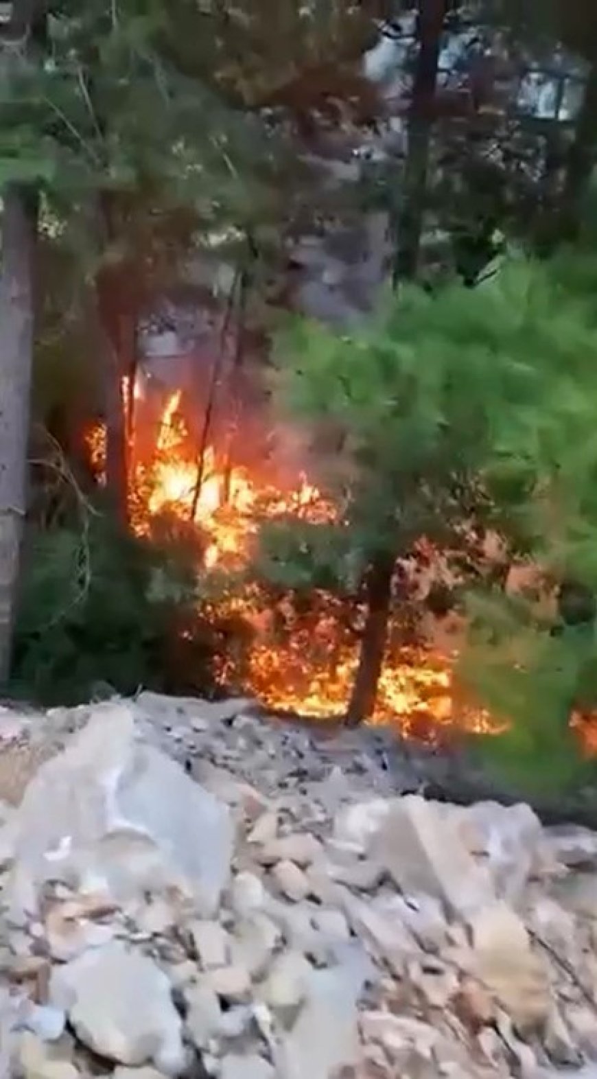 Alanya’da Yıldırım Ormanlık Alana Düştü: 1 Dönüm Alan Zarar Gördü