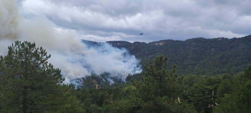 Manavgat’ta Orman Yangını 22 Saat Sonra Kontrol Altına Alındı: 70 Hektar Zarar Gördü