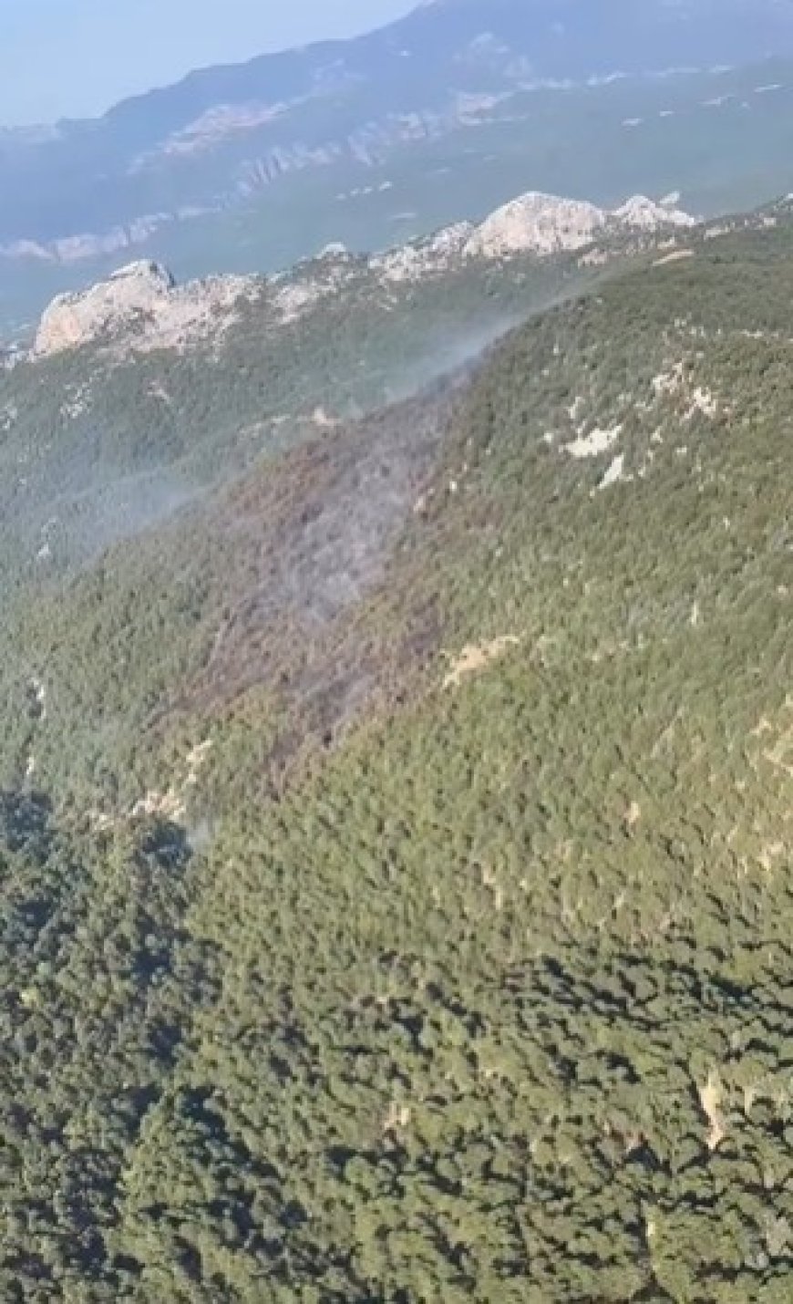 Manavgat’taki Orman Yangını Kontrol Altına Alındı