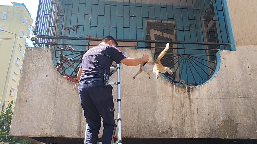Muratpaşa’da Apartman Yangını: Korkan Hamile Kedi İtfaiye Tarafından Kurtarıldı