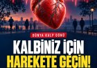 Türkiye’de her yıl 171 bin kişi kalp ve damar hastalıkları nedeniyle hayatını kaybediyor