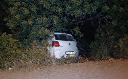 Manavgat’ta Otomobil Bahçeye Uçtu: Kazayı Şans Eseri Yaralanmadan Atlattılar