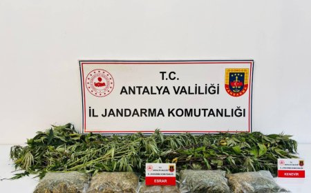 Alanya’da Uyuşturucu Operasyonu: Evden 2 Kilo 642 Gram Esrar ve 24 Kök Kenevir Çıktı