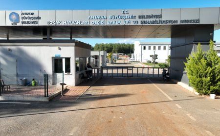 Antalya Büyükşehir’in Hayvan Bakımevine Hayvanseverlerden Tam Not