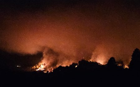 Serik’te Orman Dışı Yangının Enerjisi Düşürüldü: 600 Personelle Müdahale Edildi