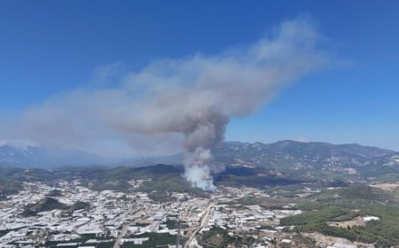Antalya’da orman yangını soruşturmasında 1 kişi tutuklandı
