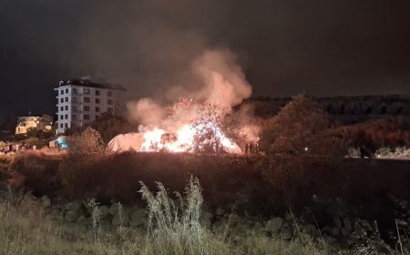 Alanya’da saman balyaları alevlere teslim oldu