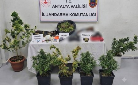 Antalya’da uyuşturucu operasyonu: 22 şüpheli gözaltında