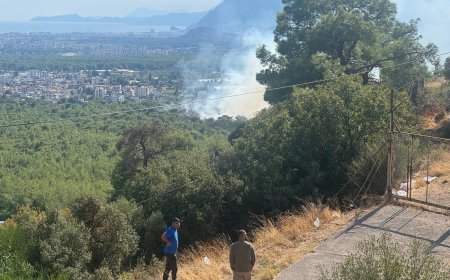Antalya’da orman yangını: Havadan ve karadan müdahale ediliyor