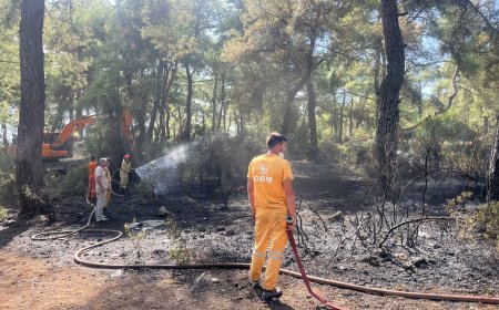 Kepez’te orman yangını kontrol altına alındı
