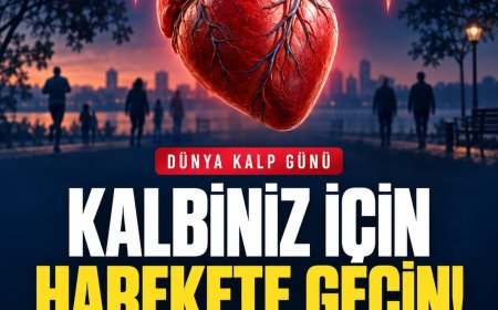 Türkiye’de her yıl 171 bin kişi kalp ve damar hastalıkları nedeniyle hayatını kaybediyor