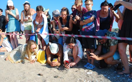 Çıralı’da caretta caretta sezonu sona erdi: 3 bin 458 yavru denizle buluştu
