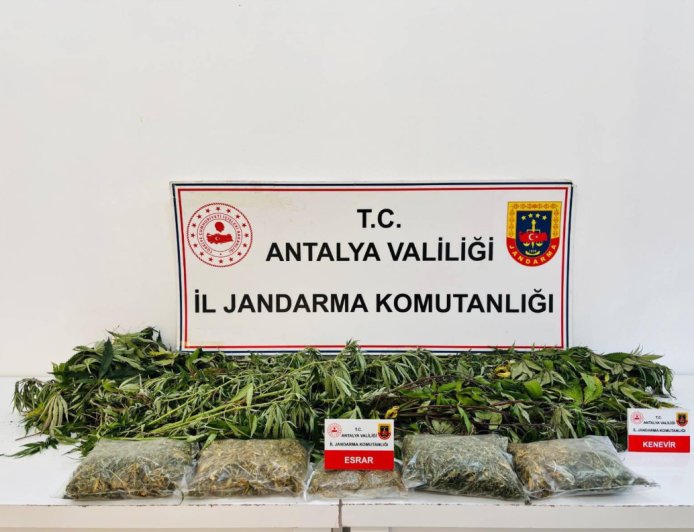 Alanya’da Uyuşturucu Operasyonu: Evden 2 Kilo 642 Gram Esrar ve 24 Kök Kenevir Çıktı
