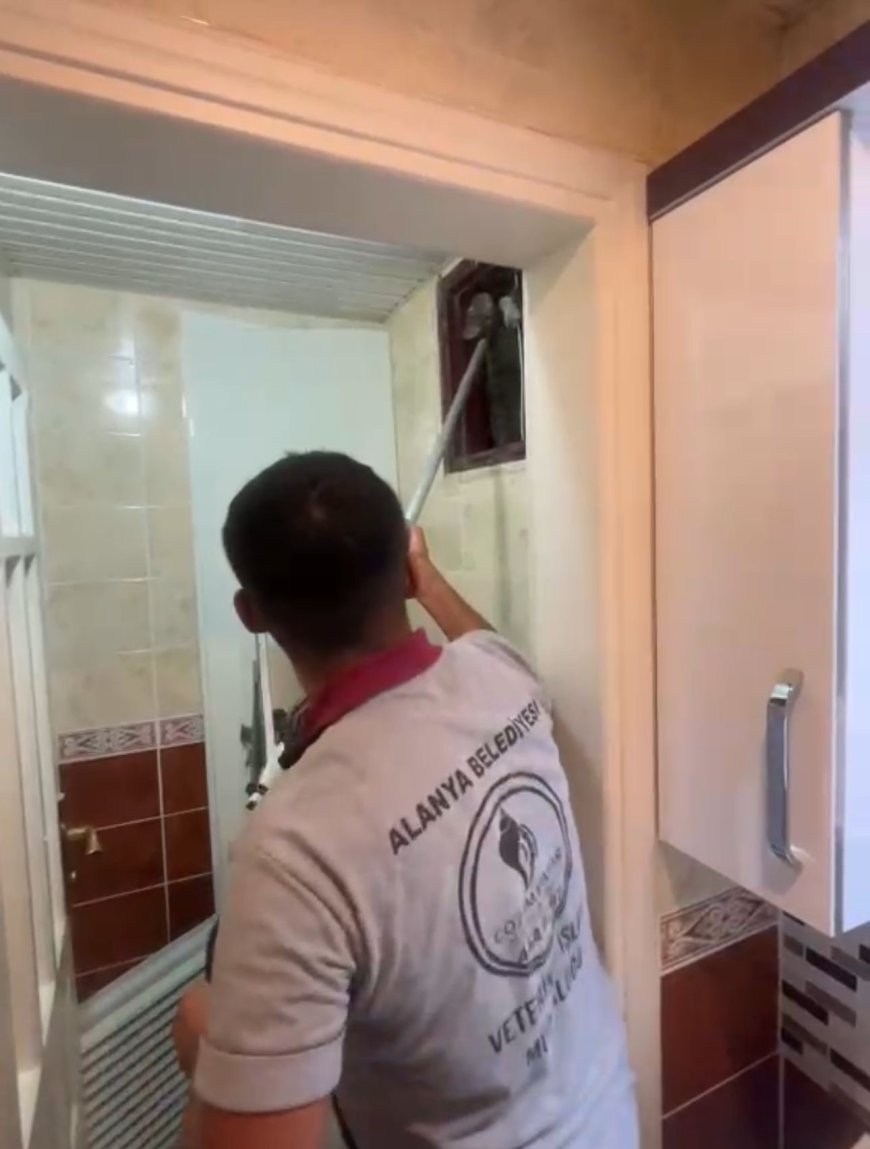 Alanya’da havalandırma boşluğuna düşen kedi ekipler tarafından kurtarıldı