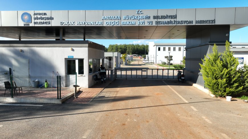 Antalya Büyükşehir’in Hayvan Bakımevine Hayvanseverlerden Tam Not
