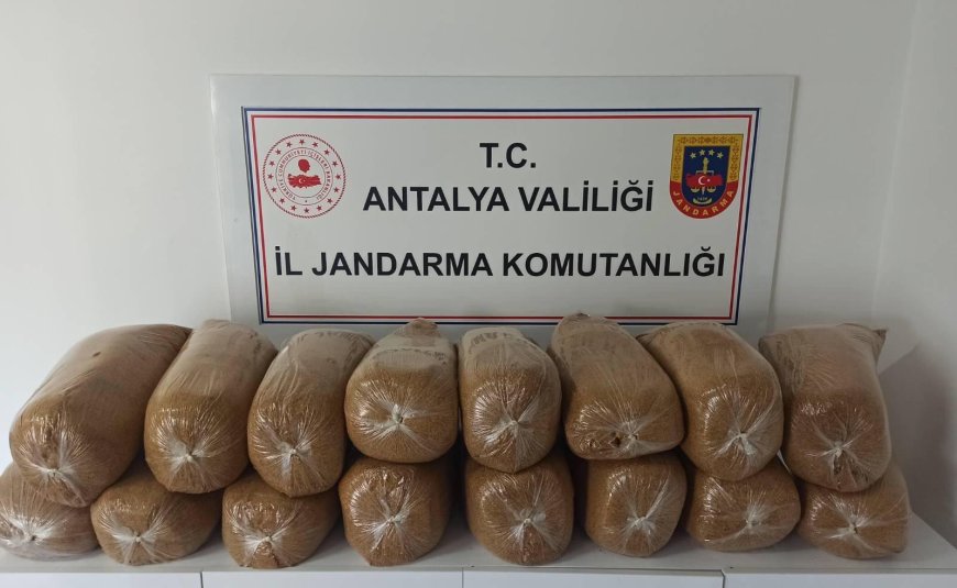 Alanya ve Kaş’ta Kaçak Tütün Operasyonu: 218 Kilo Tütün ve 350 Paket Sigara Ele Geçirildi
