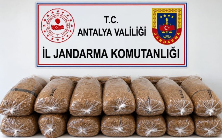 Alanya’da Kaçak Tütün Operasyonu: 144 Kilo Tütün Ele Geçirildi