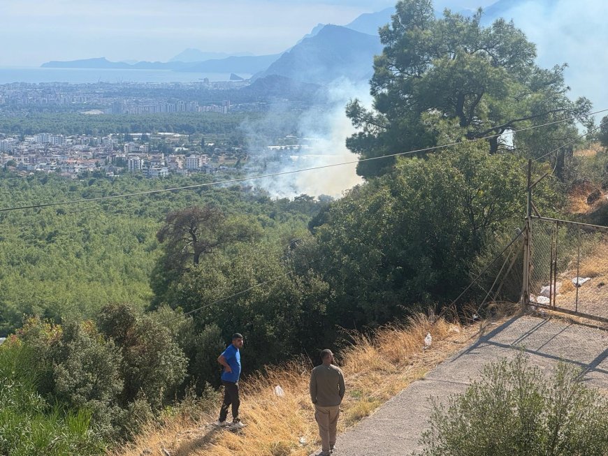 Antalya’da orman yangını: Havadan ve karadan müdahale ediliyor