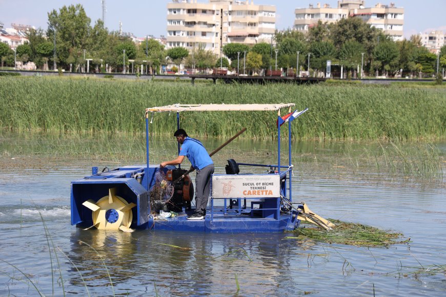 Boğaçayı’nda 320 ton sucul bitki ve 4 ton atık toplandı
