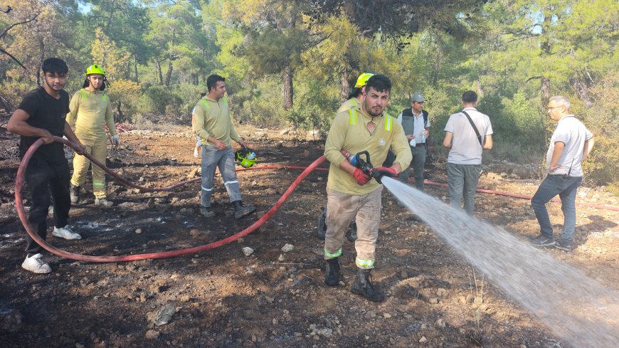 Kepez’te orman yangını kontrol altına alındı