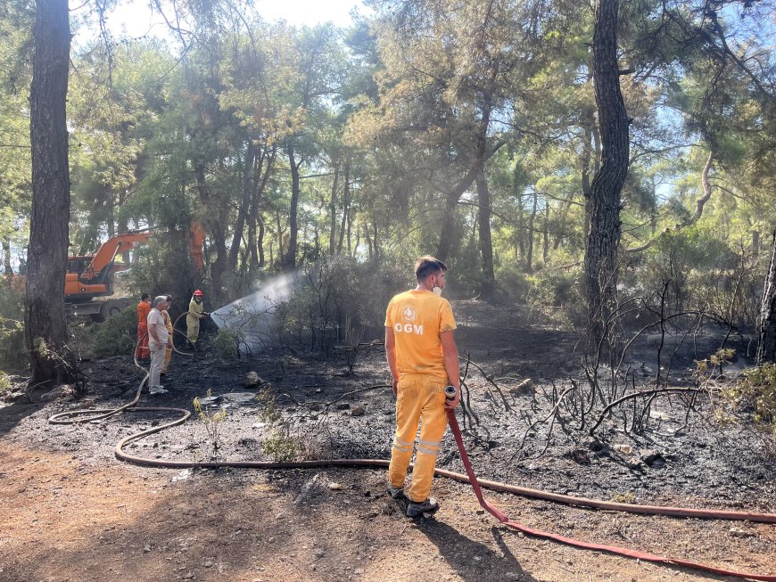 Kepez’te orman yangını kontrol altına alındı